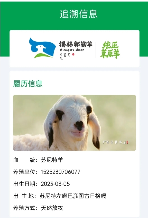 锡林郭勒羊品牌产品“一码溯源 全链尽悉”